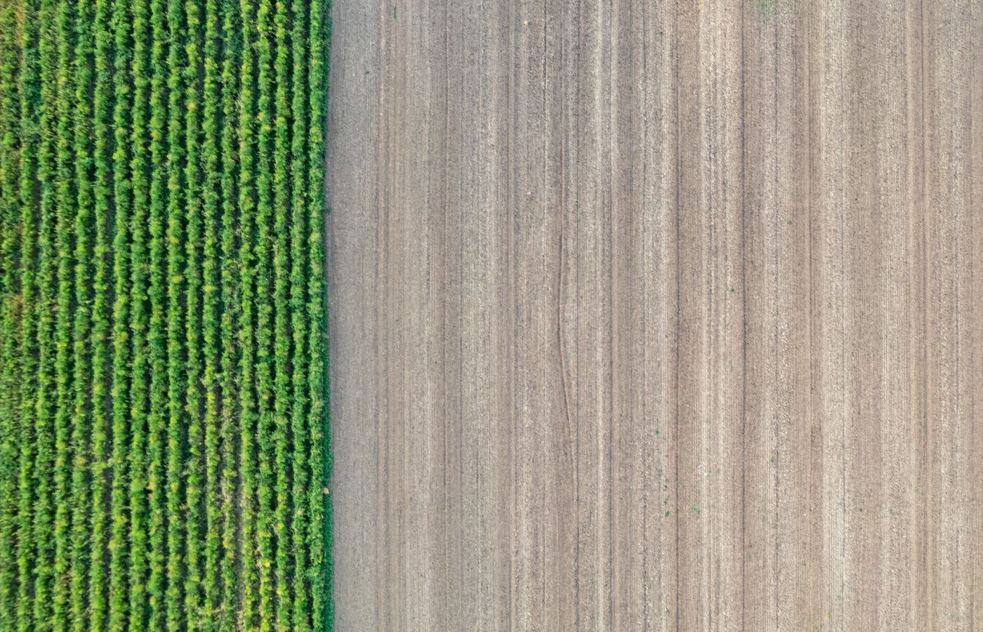 Aerial overview of a rural property and its acreage